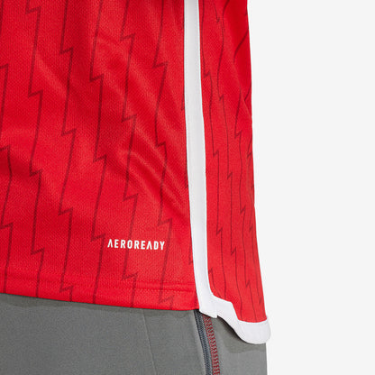 Home 23/24 Men's Shirt